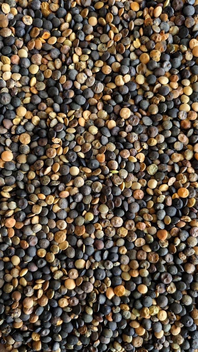 Himalayan Masoor Dal 