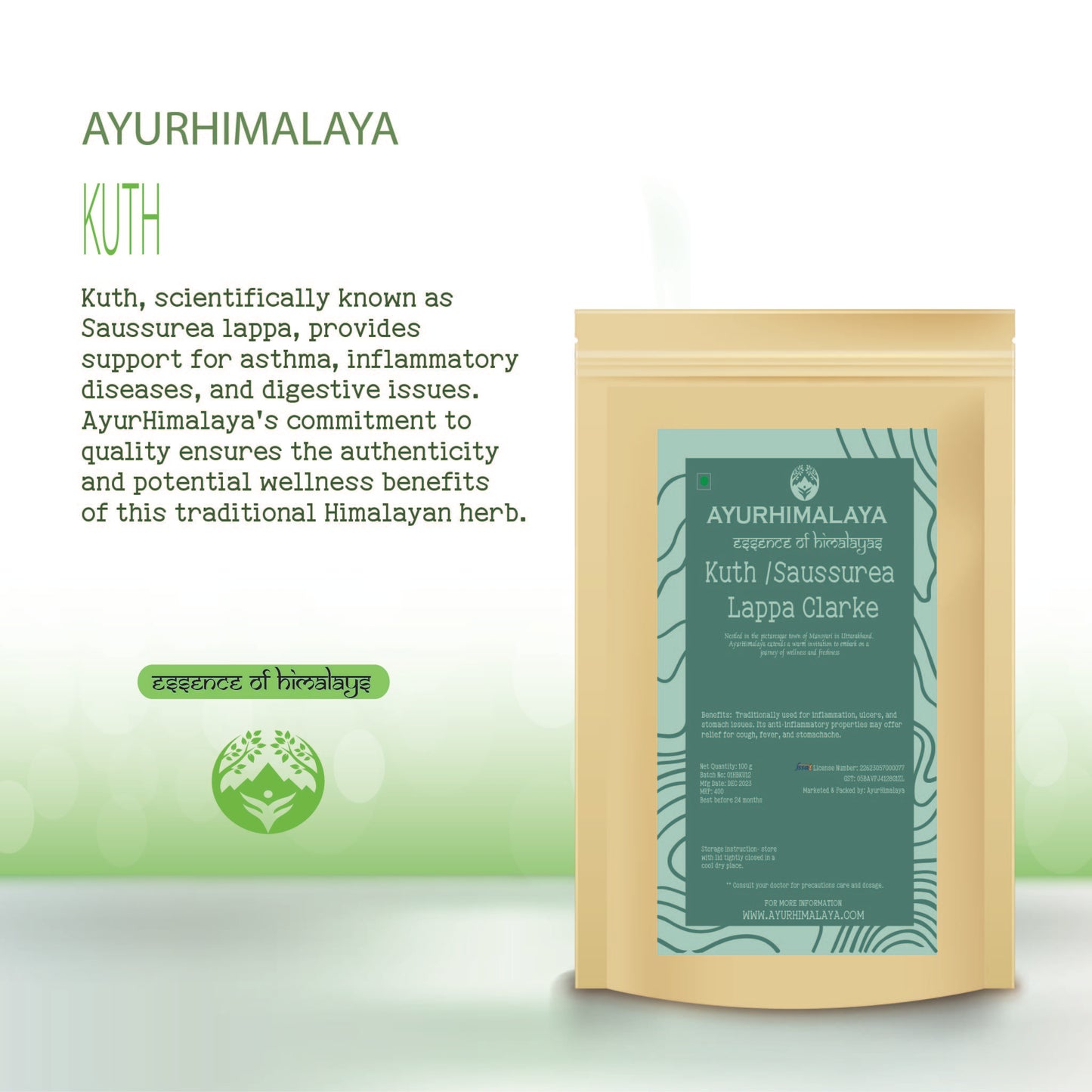 AyurHimalaya Kuth (Saussurea lappa Clarke): A Himalayan Herbal Powerhouse